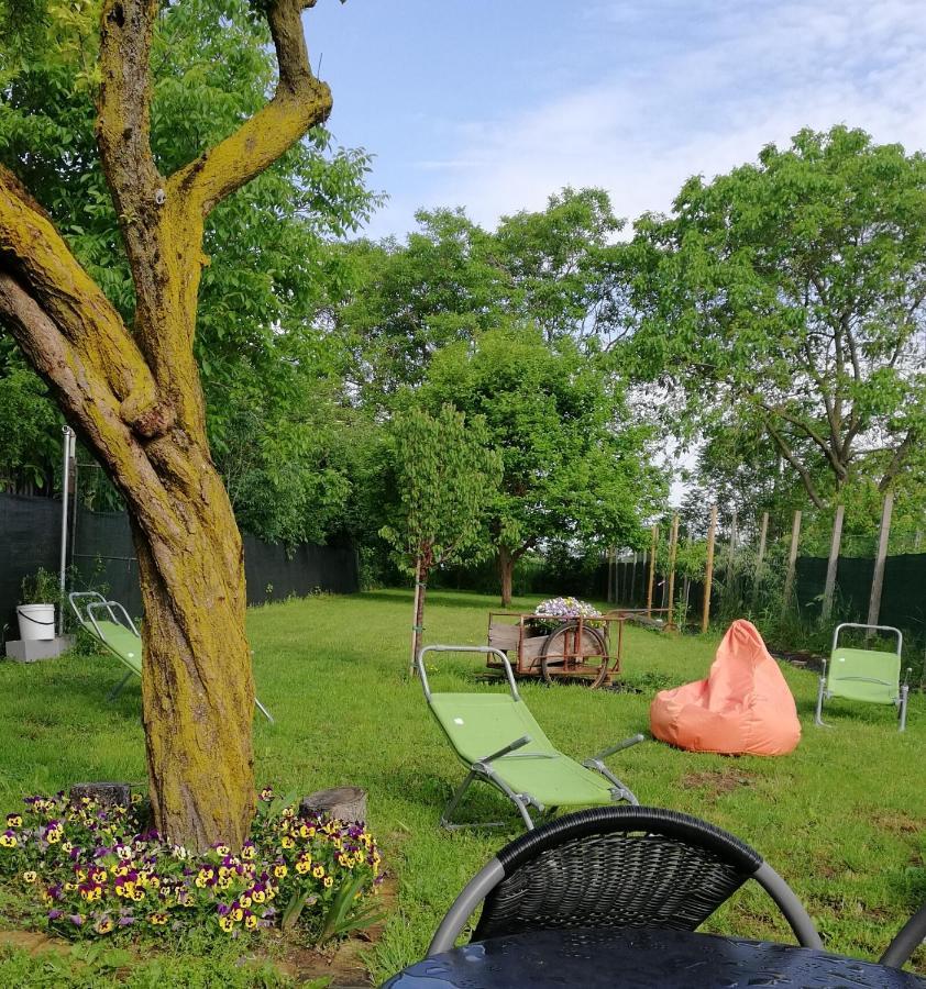Zucchero Sui Baffi- Food Lovers B&B Mantova Exteriör bild